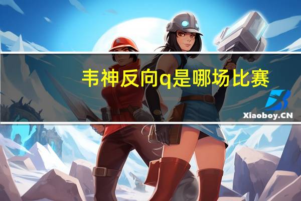 韦神反向q是哪场比赛