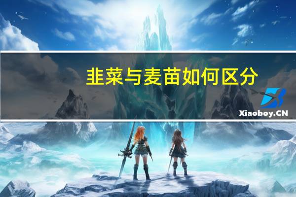 韭菜与麦苗如何区分