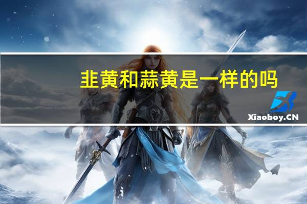 韭黄和蒜黄是一样的吗