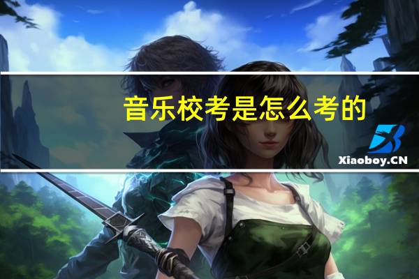 音乐校考是怎么考的