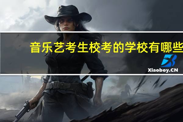 音乐艺考生校考的学校有哪些