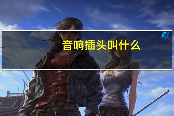 音响插头叫什么