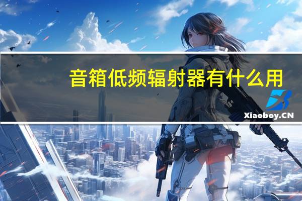 音箱低频辐射器有什么用