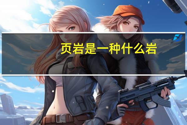 页岩是一种什么岩