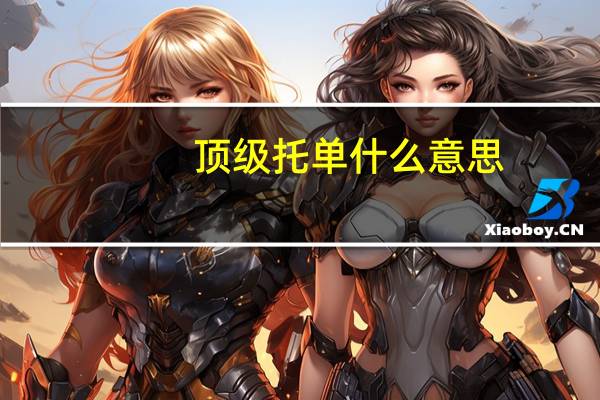 顶级托单什么意思