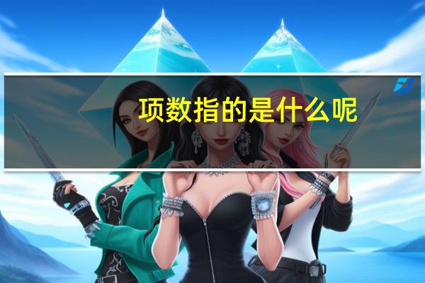 项数指的是什么呢
