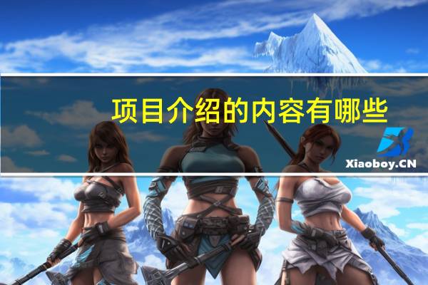 项目介绍的内容有哪些