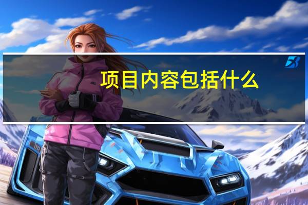 项目内容包括什么