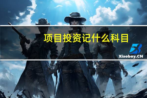 项目投资记什么科目