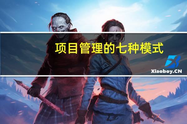 项目管理的七种模式