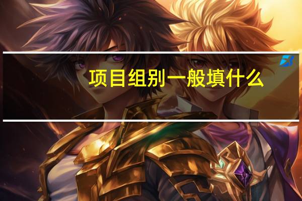 项目组别一般填什么