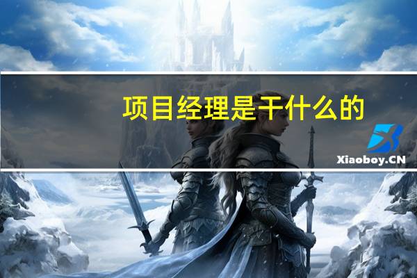 项目经理是干什么的