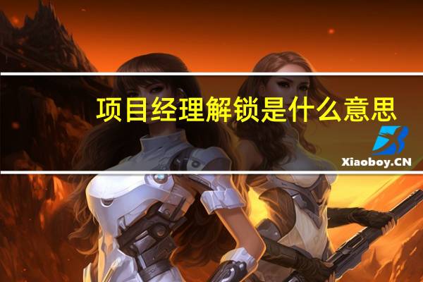 项目经理解锁是什么意思