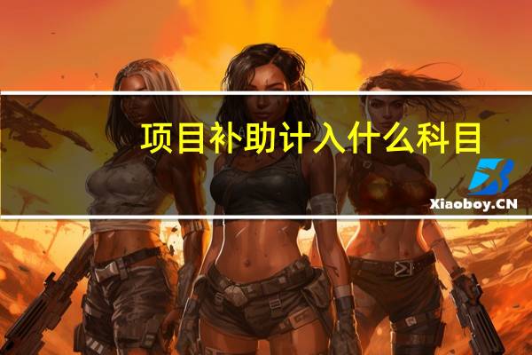 项目补助计入什么科目