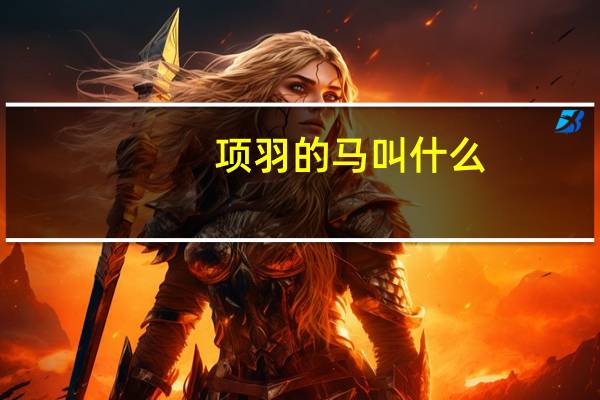 项羽的马叫什么