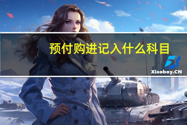 预付购进记入什么科目