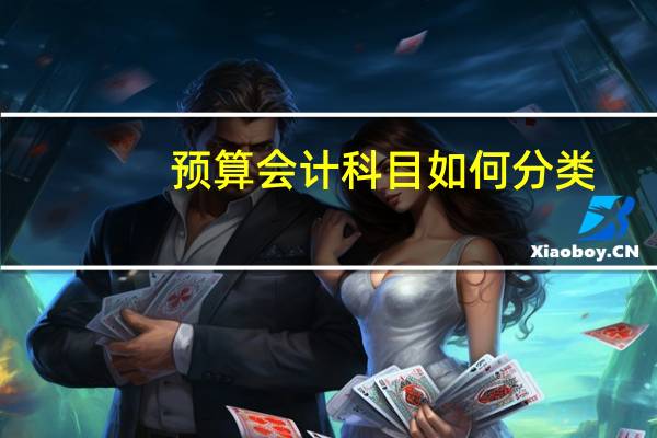 预算会计科目如何分类