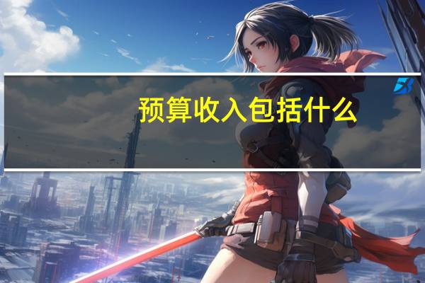 预算收入包括什么