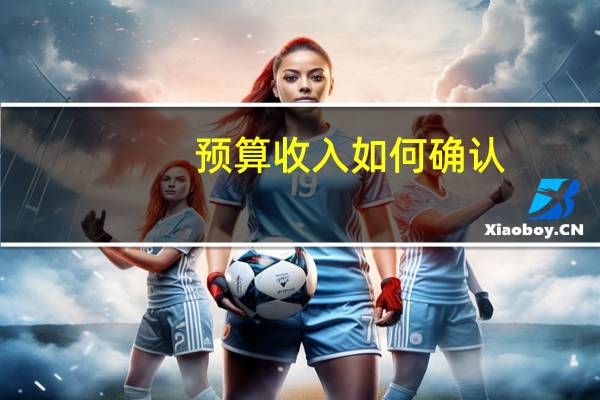 预算收入如何确认