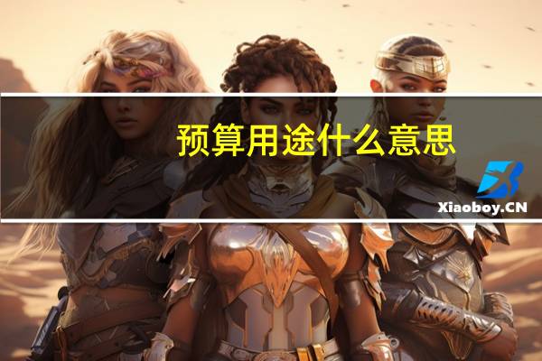 预算 用途什么意思