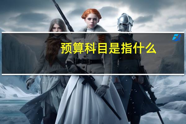 预算科目是指什么
