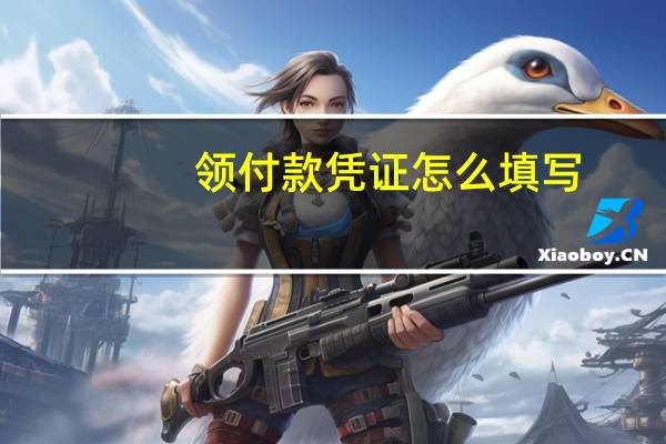 领付款凭证怎么填写