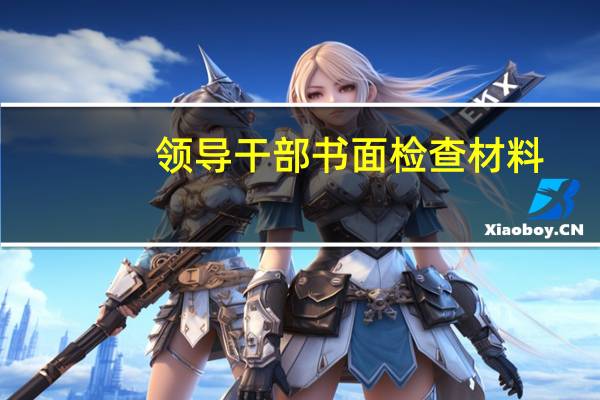 领导干部书面检查材料