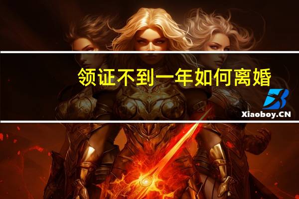 领证不到一年如何离婚