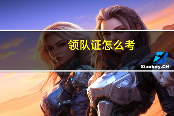 领队证怎么考