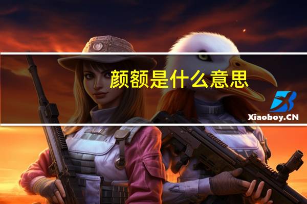 颜额是什么意思