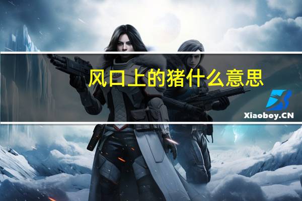 风口上的猪什么意思