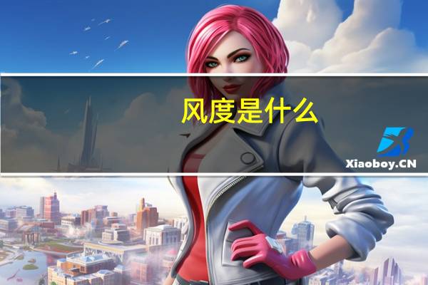 风度是什么