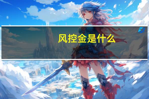 风控金是什么