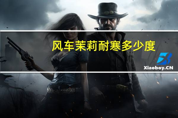 风车茉莉耐寒多少度