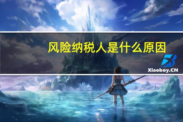 风险纳税人是什么原因