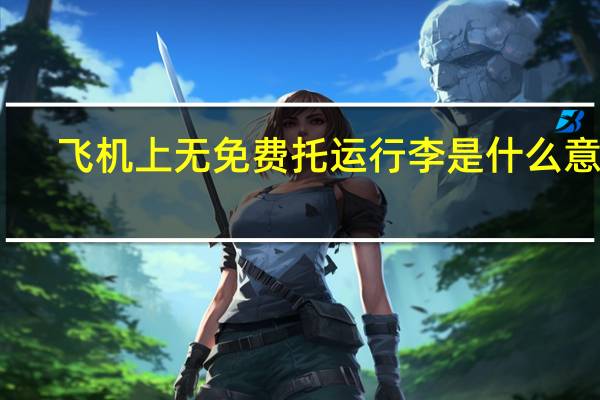 飞机上无免费托运行李是什么意思