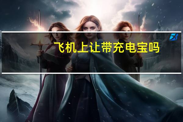 飞机上让带充电宝吗