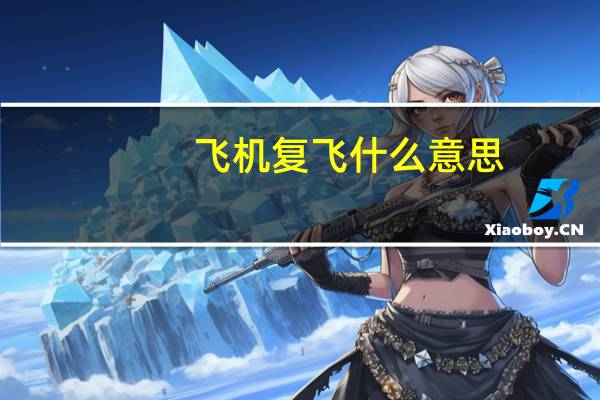飞机复飞什么意思