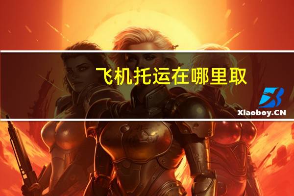 飞机托运在哪里取