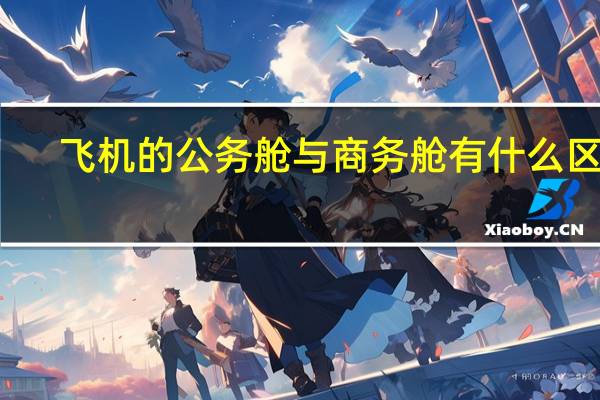 飞机的公务舱与商务舱有什么区别