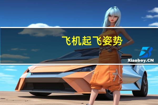 飞机起飞姿势