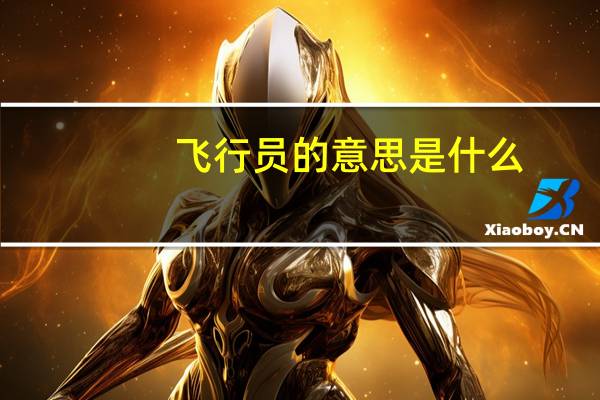 飞行员的意思是什么