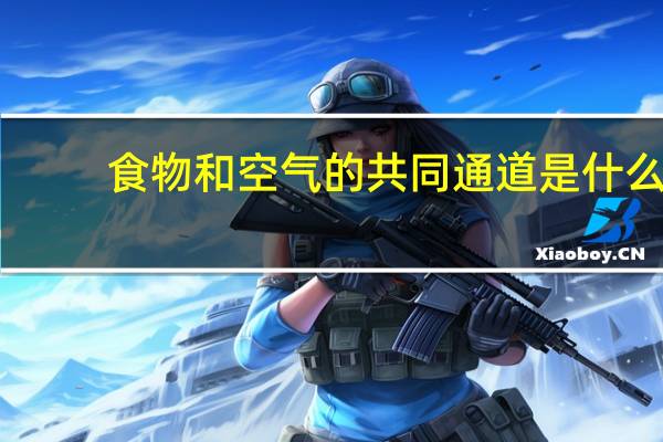 食物和空气的共同通道是什么
