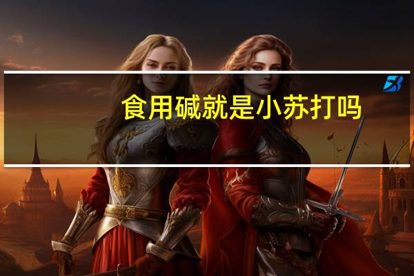 食用碱就是小苏打吗