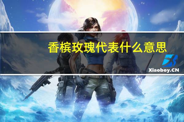 香槟玫瑰代表什么意思