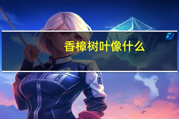 香樟树叶像什么