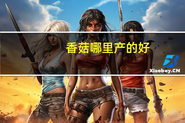 香菇哪里产的好