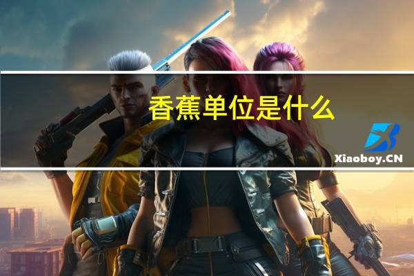 香蕉单位是什么