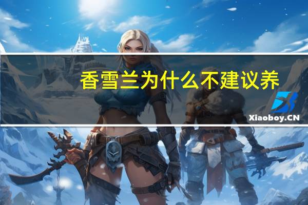 香雪兰为什么不建议养