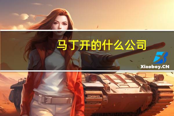 马丁开的什么公司